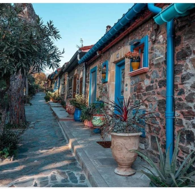 Appartamento Idéal pour Stage ou Formation Amélie-les-Bains-Palalda Esterno foto