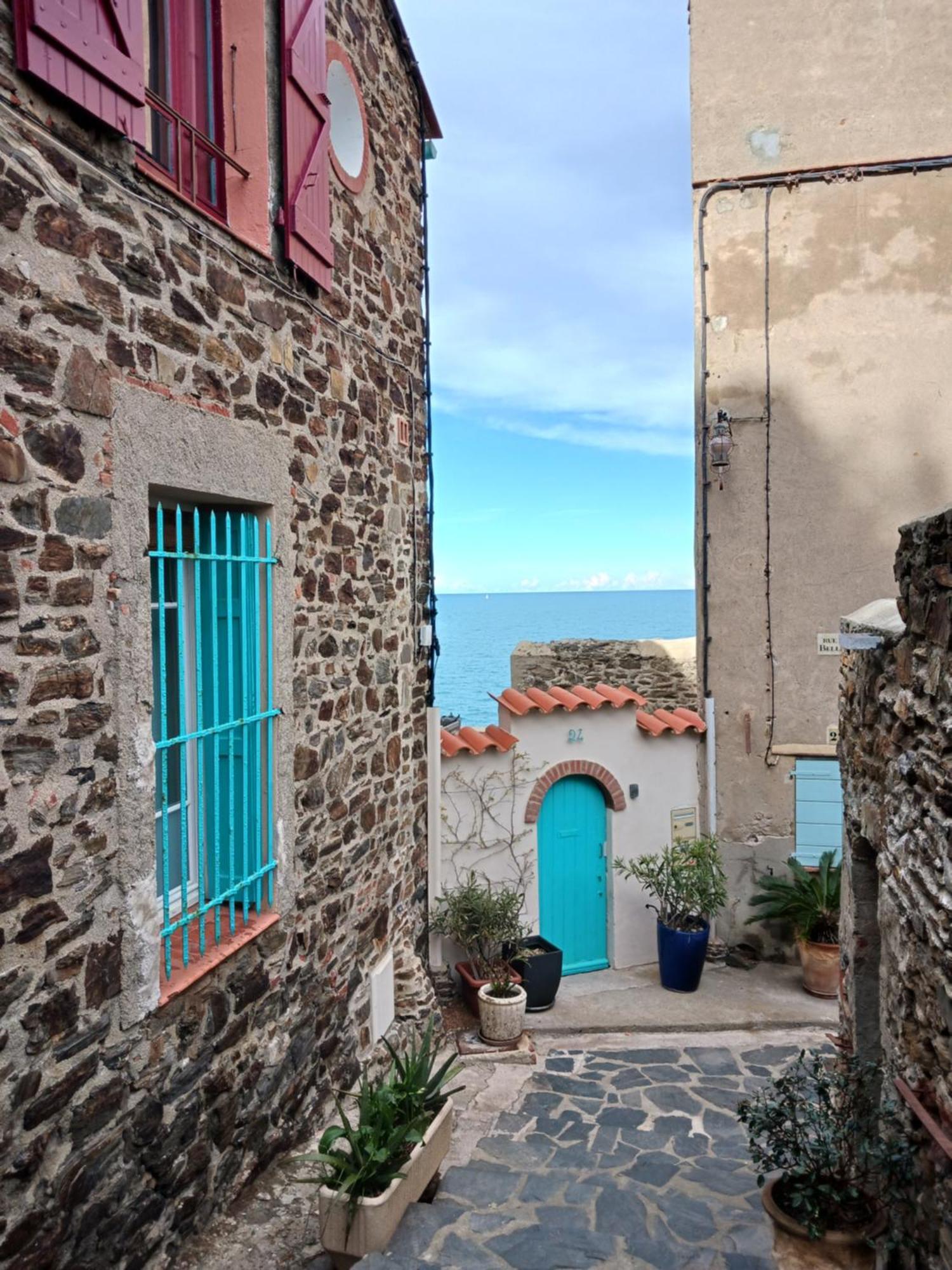 Appartamento Idéal pour Stage ou Formation Amélie-les-Bains-Palalda Esterno foto