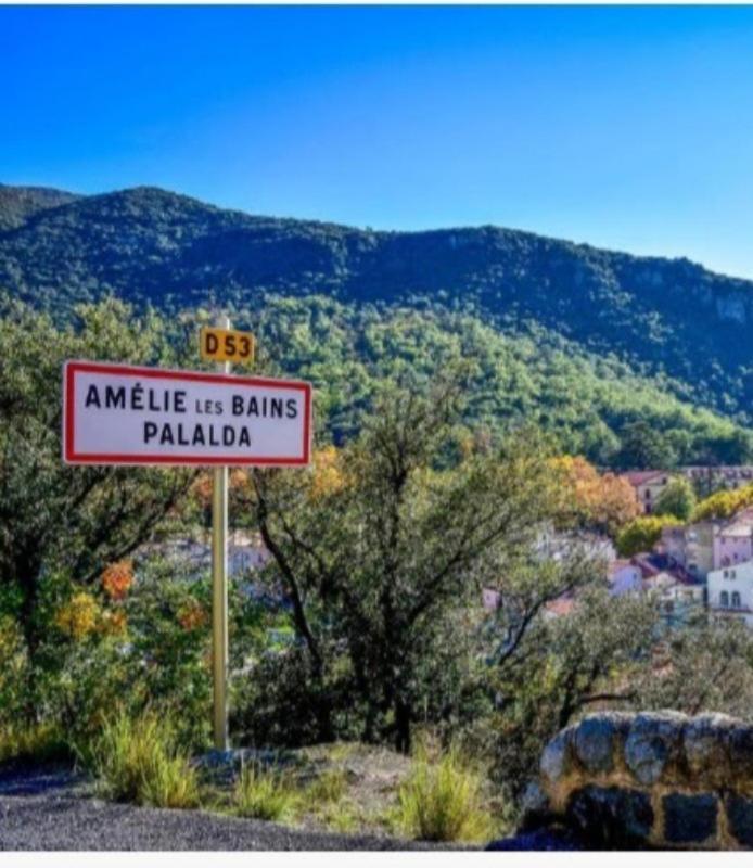 Appartamento Idéal pour Stage ou Formation Amélie-les-Bains-Palalda Esterno foto