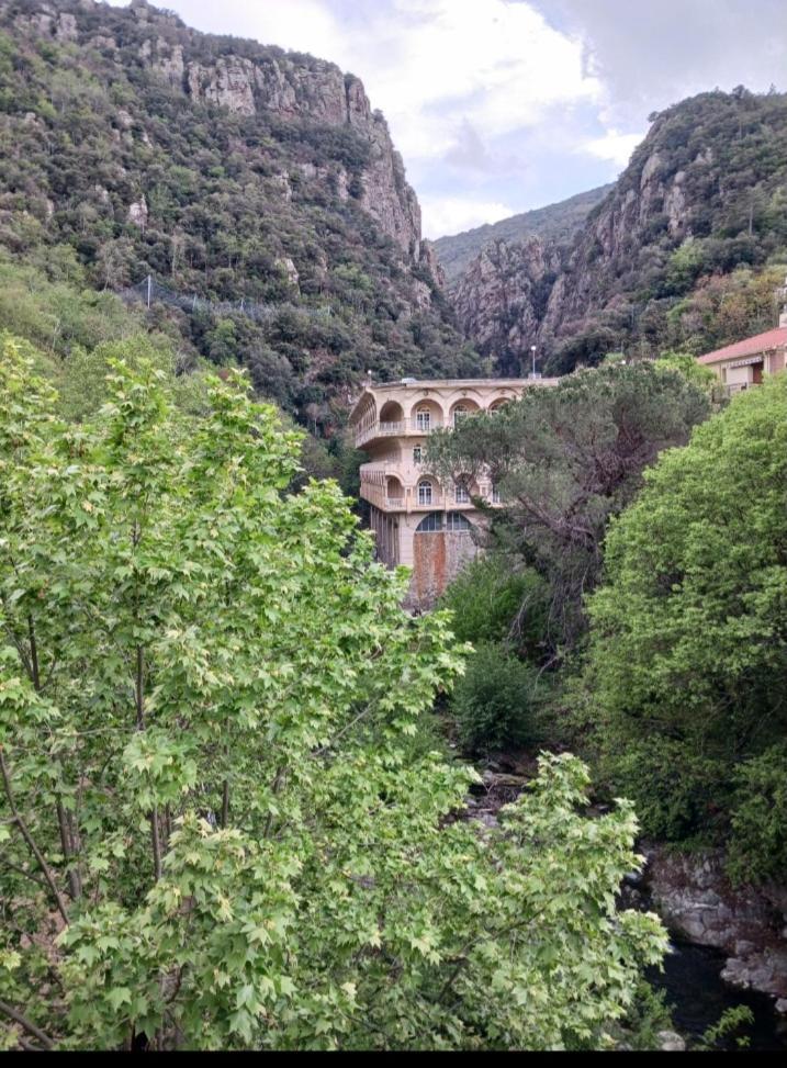 Appartamento Idéal pour Stage ou Formation Amélie-les-Bains-Palalda Esterno foto